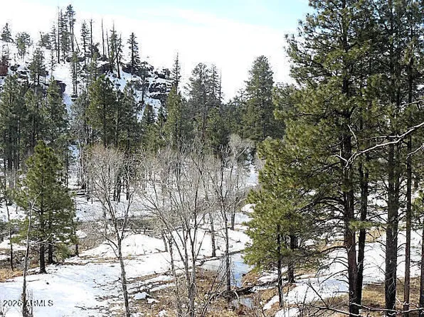 3369 WINDY Lane #145, Heber, AZ 85928