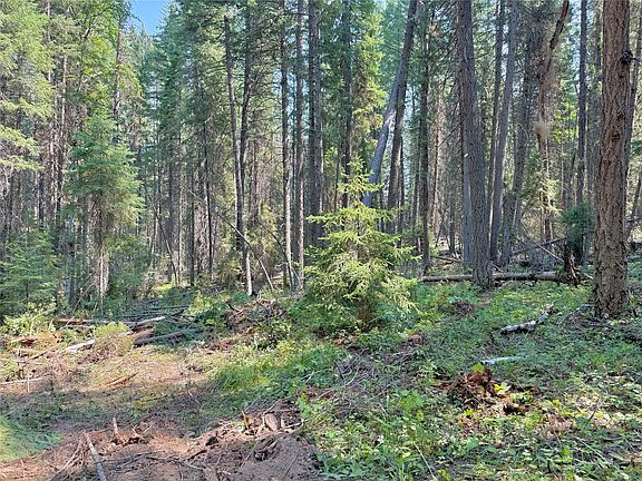2nd image of 825 S Fork Rd