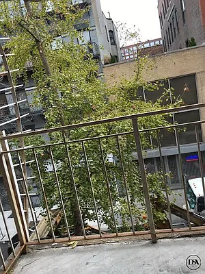 Rented by DSA Realty | media 31