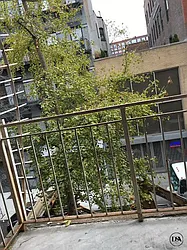 Rented by DSA Realty