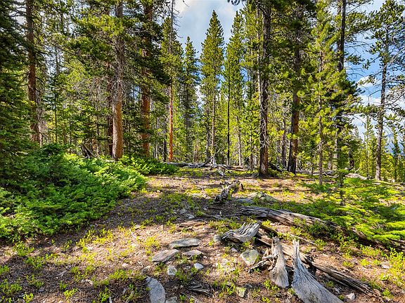 5th image of 440 Gold Trail Circle