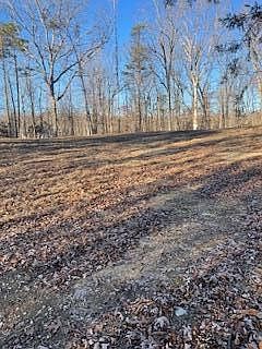 2nd image of 445 Scenic Lakeview Dr