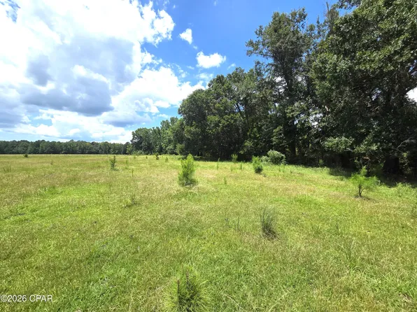 SW County Road 379, Bristol, FL 32321