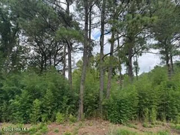 1298 Moores Chapel Road LOT 3, Lillington, NC 27546