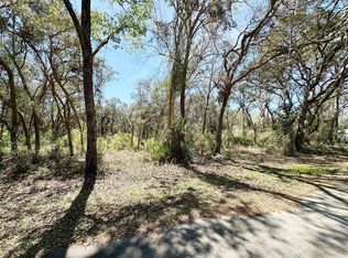 NW 110th Cir Lot 3, Chiefland, FL 32626