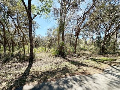 TBD NW 110TH CIRCLE, LOT 3 LOT 3, Chiefland, FL, 32626