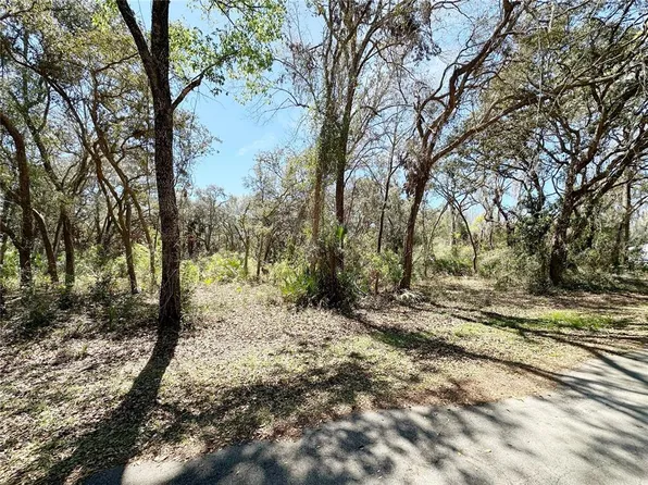 NW 110th Cir Lot 3, Chiefland, FL 32626