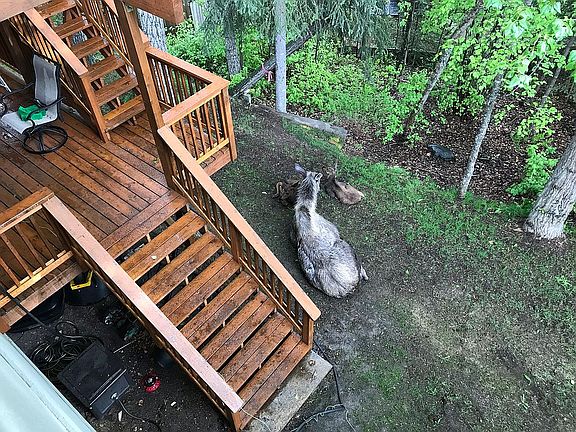 2nd image of 18534 Jude Island Cir