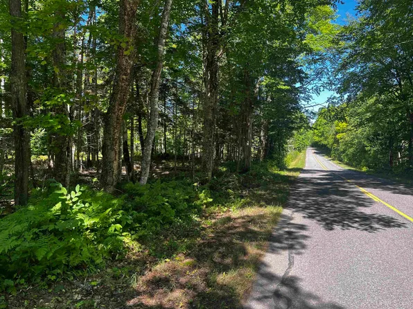 Dukes Rd, Skandia, MI 49885