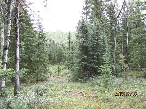 3rd image of 5439 Alaska Hwy