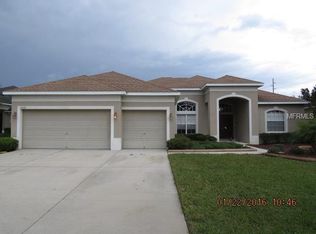 2412 Tea Olive Ter, Valrico, FL 33594