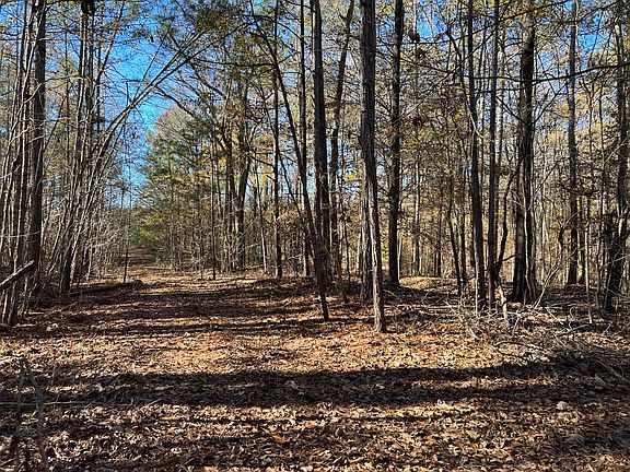 4th image of 1020 County Road 57 Lot Wp001