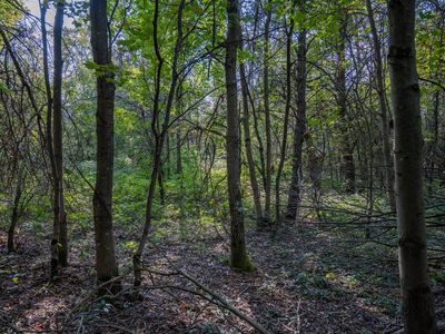 Lot 3 20th Street #3, Necedah, WI, 54646