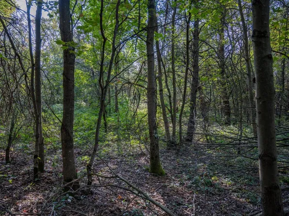 Lot 3 20th Street #3, Necedah, WI 54646