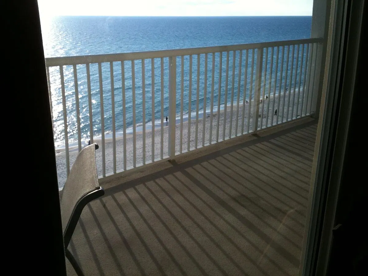 3 bed, 1241 sqft, $3,200 — Photo 2