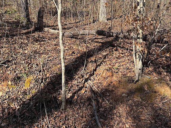 3rd image of 0 E Rambling Creek Dr #11