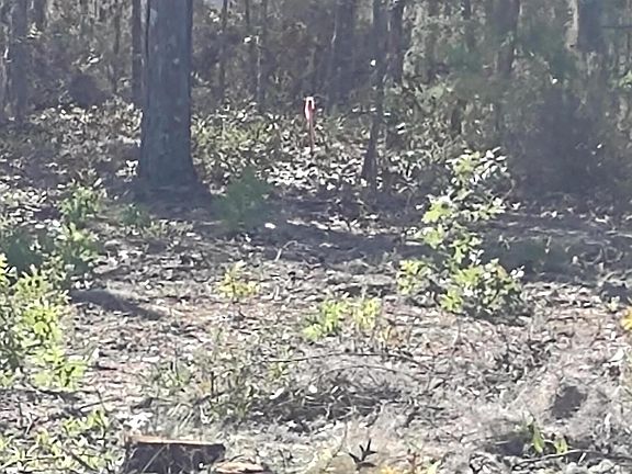 4th image of 10 TWIN LAKES Boulevard