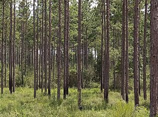 19240 Lindsey Bridge Rd, Andalusia, AL 36420