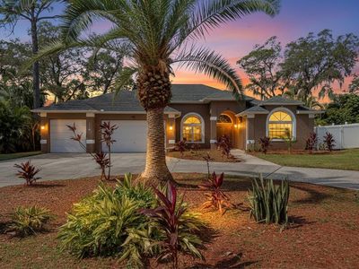 3206 Enisgrove Dr E, Palm Harbor, FL, 34683