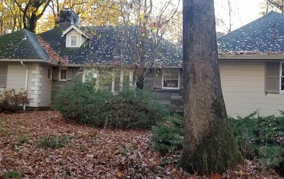 2nd image of 30 Pepperidge Tree Ter