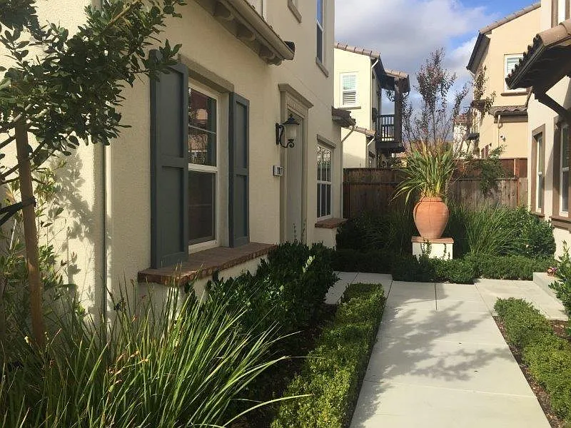 2017 Tarragon Rose Ct