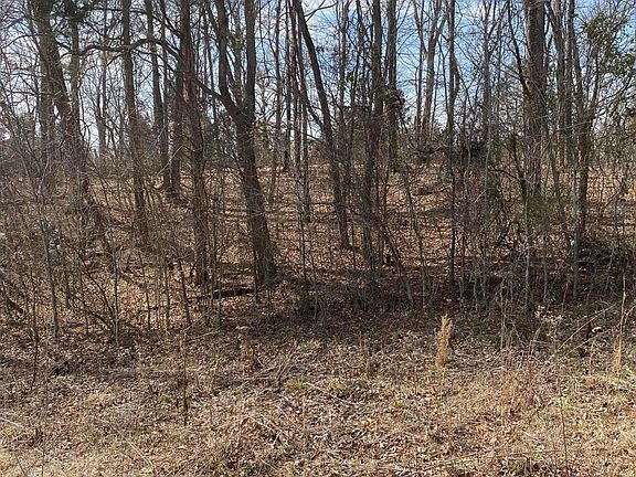 3rd image of LOT 1 N Fork Dr