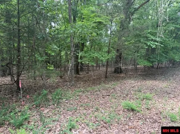 218 County Road 472, Clarkridge, AR 72623