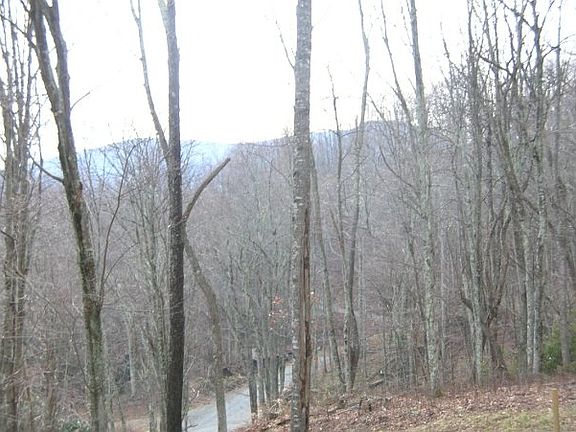 Grandfather Mountain