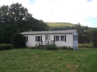 1007 N Sanford Rd, Afton, NY 13730