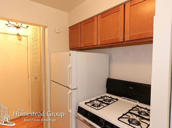 4th image of 510 W Briar Pl APT 0307