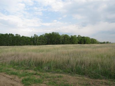 12th Ave SW Parcel 9, Backus, MN, 56435