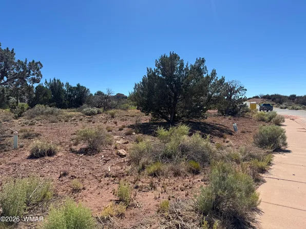 W Sand Trap Ln, Snowflake, AZ 85937