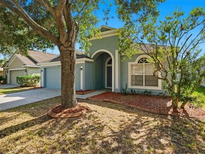 10209 Tapestry Key Ct, Riverview, FL, 33578