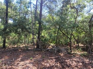 3641 S Chicory Ter, Inverness, FL 34450