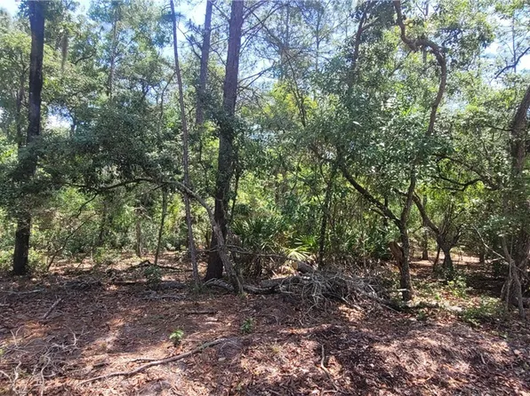 3641 S Chicory Ter, Inverness, FL 34450