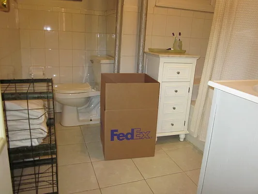 Rented by Empire One Realty | media 6