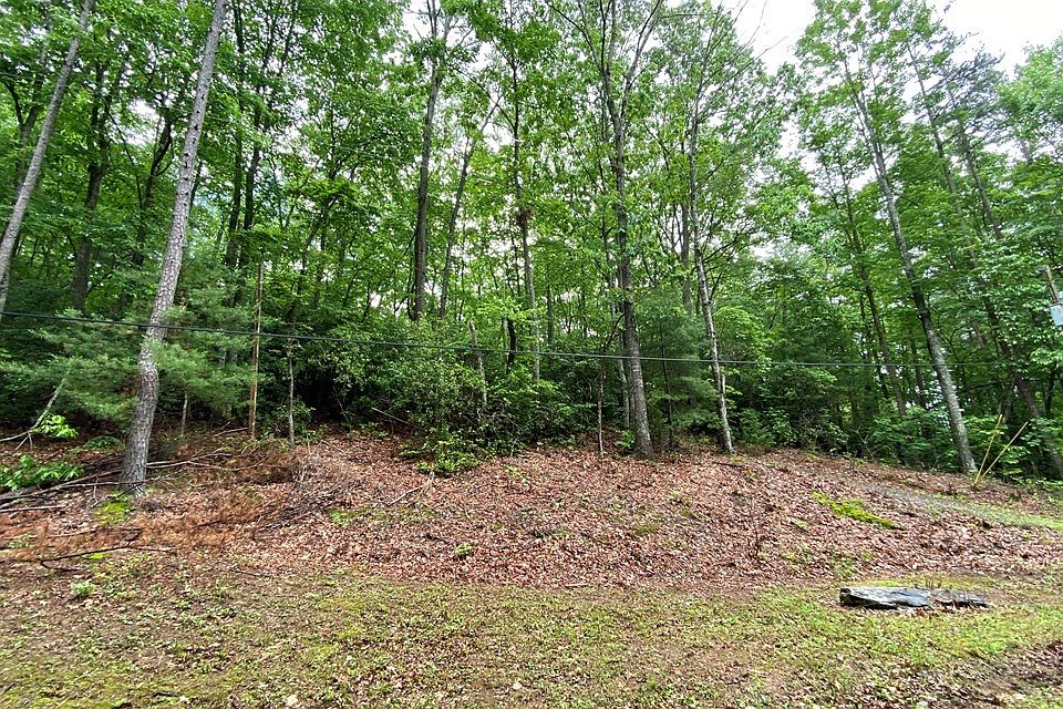 2nd image of Roberts Rd