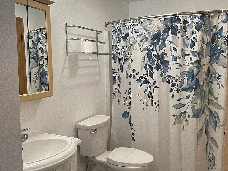 Bathroom from hallway door