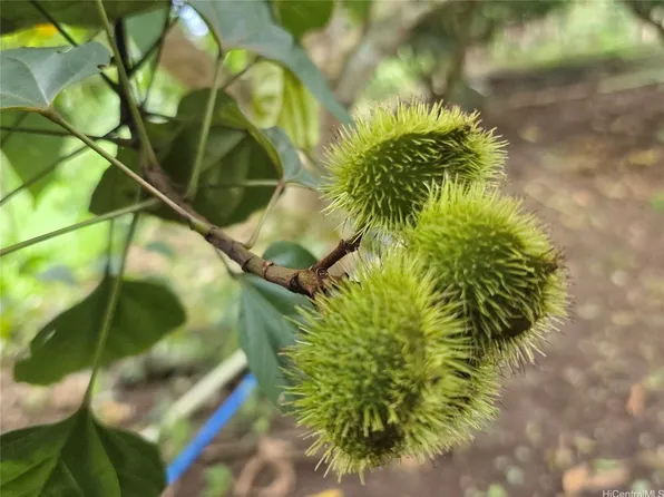 94-1100 Kunia Rd #86F, Kapolei, HI 96707