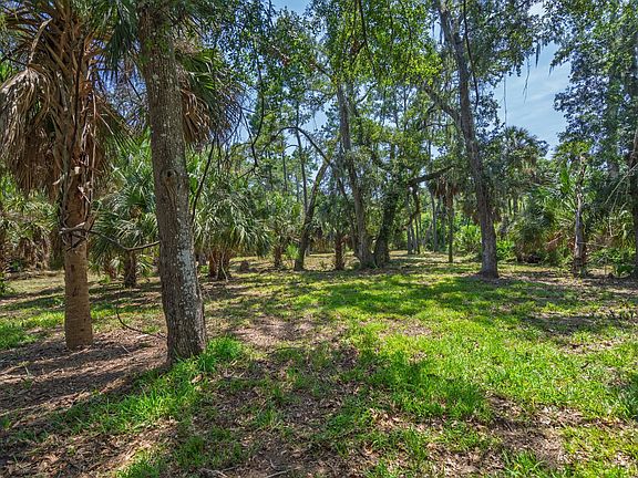 5th image of 0 Palmetto Rd