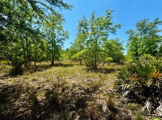 Vacant 62 Rd, Lamont, FL 32336
