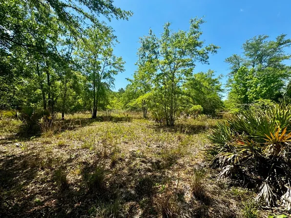 Vacant 62 Rd, Lamont, FL 32336