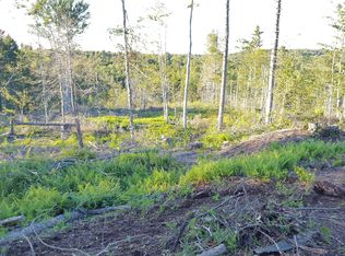 0 Lilly Lake Rd, Bleecker, NY 12078