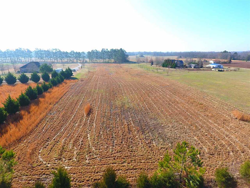 2nd image of Lones Ln