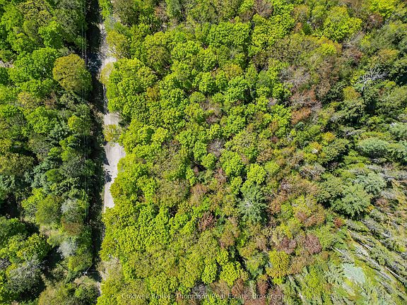 4th image of 989 N Waseosa Lake Rd