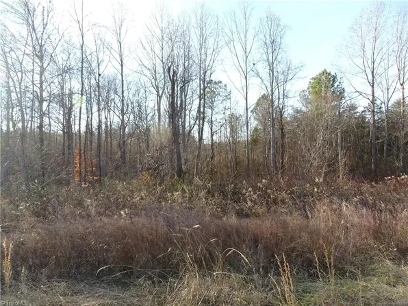 0 Kelly Coltrane Dr #46, Randleman, NC 27317
