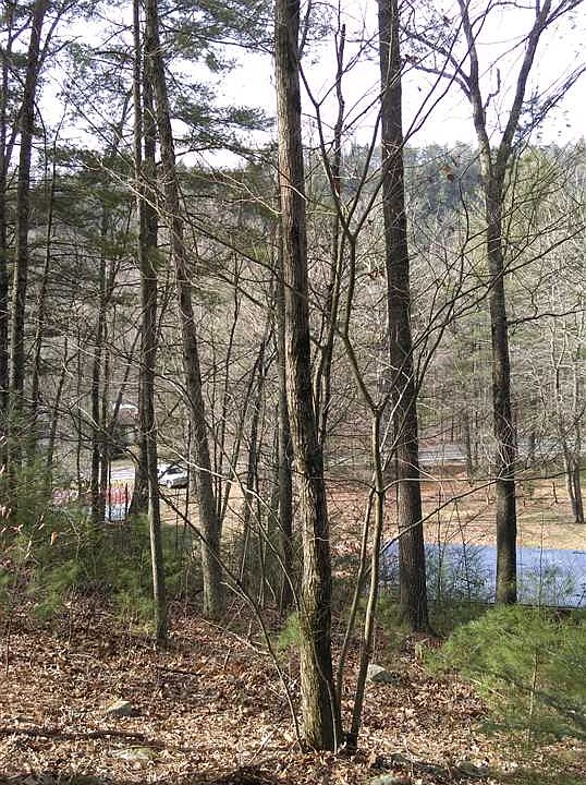 2nd image of 12346 Rawley Pike