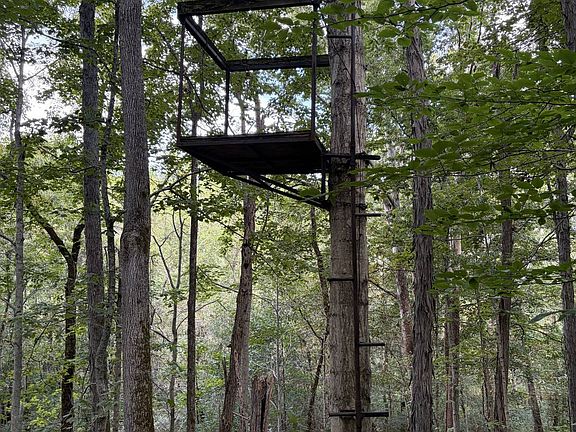 4th image of 16 Shinkles Ridge Rd