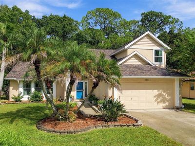709 JACARANDA DRIVE, Oldsmar, FL, 34677