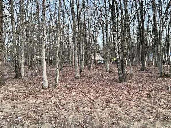 436 Mountain Rd #404, Albrightsville, PA 18210